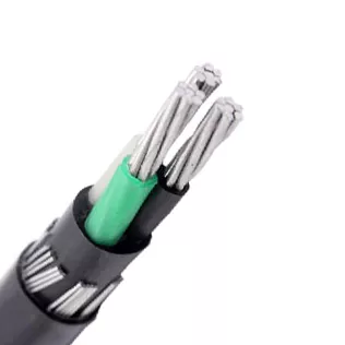 ခေတ်မီလျှပ်စစ်စနစ်များအတွက် Concentric Neutral Cable သည် အဘယ်ကြောင့် မရှိမဖြစ်လိုအပ်သနည်း။